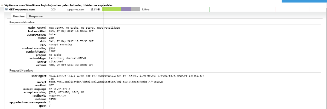 HTTP Response Headers gtmetrix