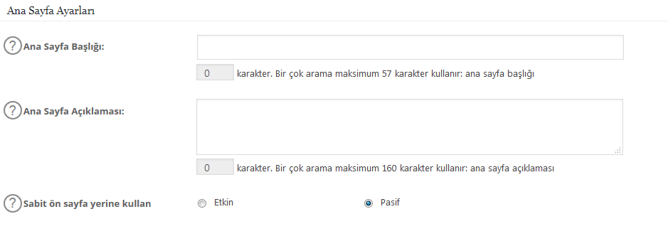 all in one seo ana sayfa ayarları