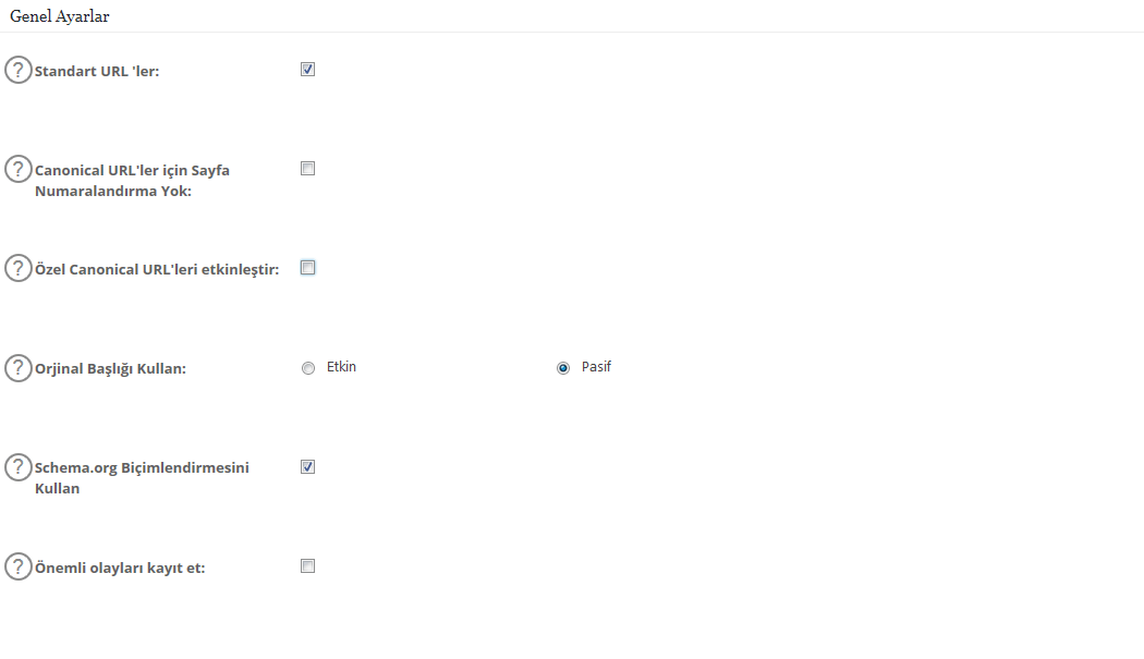 all in one seo genel ayarlar