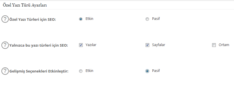 all in one seo özel yazı türü ayarları nasıl yapılır
