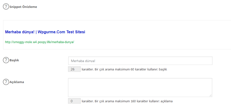 all in one seo snippet önizleme
