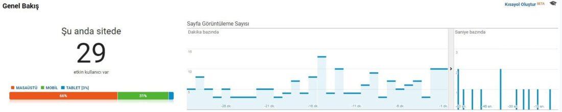 Test Anında Sitedeki kullanıcı sayıları