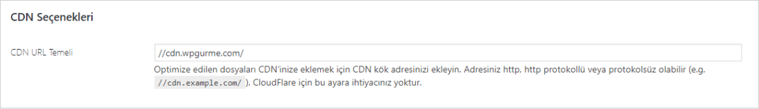 Autoptimize içerik dağıtım servis ayarı