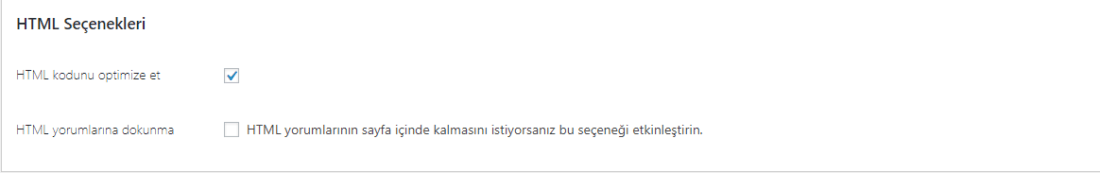 autoptimize html seçenekleri ayarları