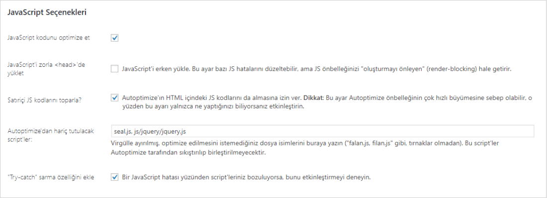 autoptimize javascript ayarları nasıl olmalı