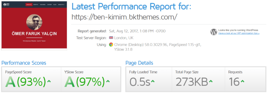 chrome test ben kimim teması
