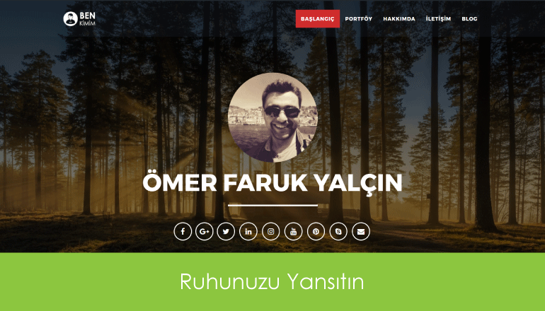 freelancer wordpress themes