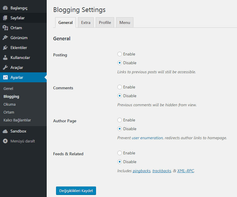 blogging ayarları