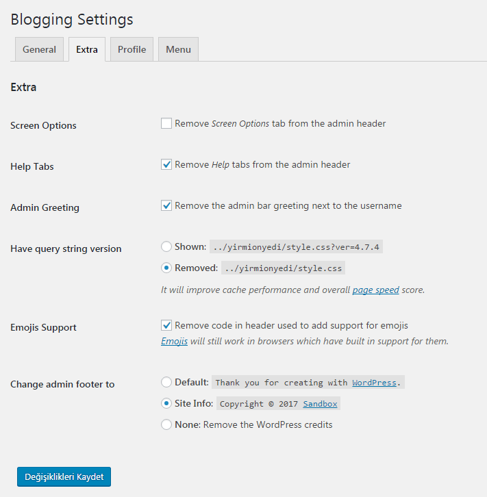 blogging extra ayarları