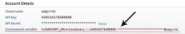 cloudinary url ayarı