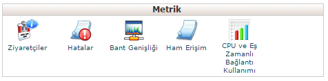 cpanel metrik tablosu