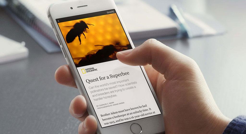Facebook hızlandırılmış makale nedir