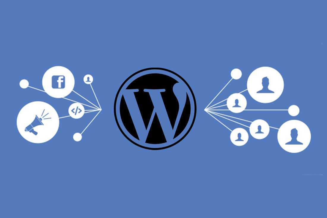 wordpress facebook piksel kurulumu