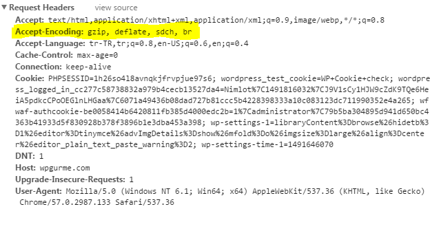 gzip chrome