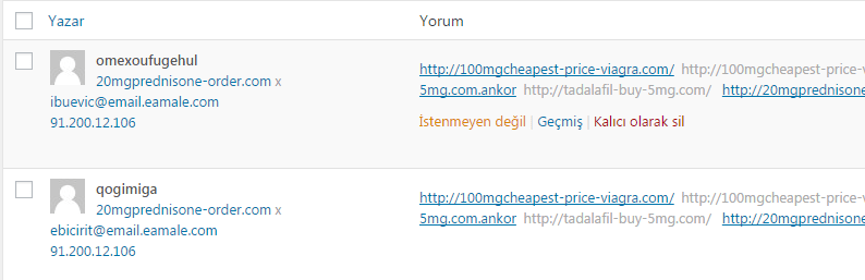 istenmeyen wordpress yorumu
