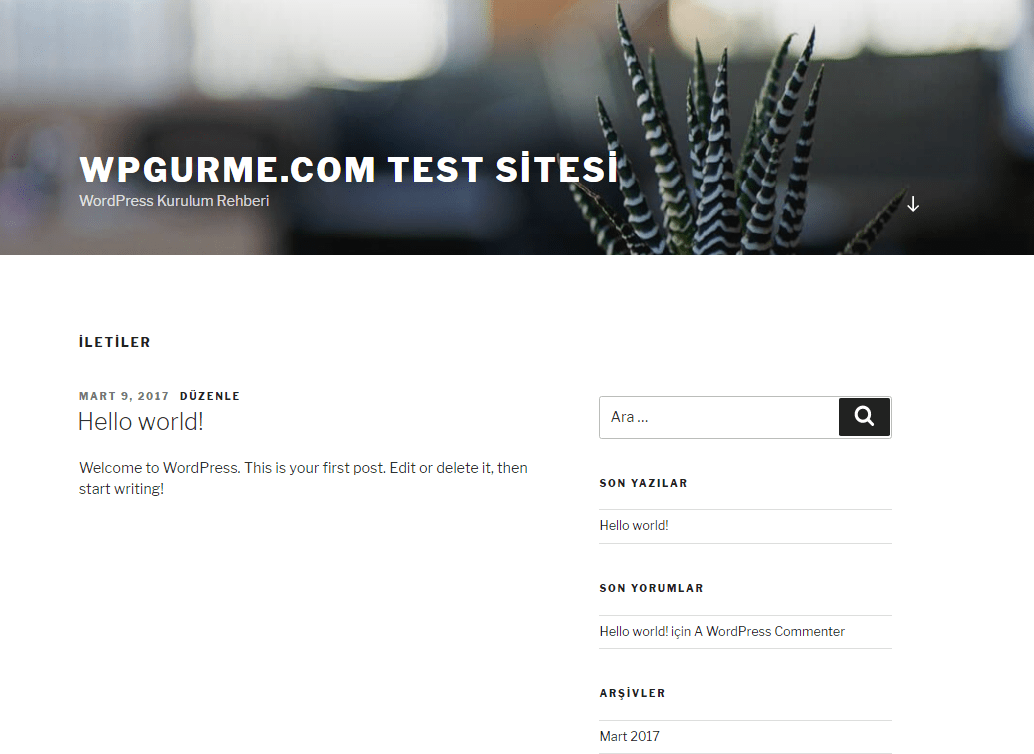 örnek wordpress sitesi