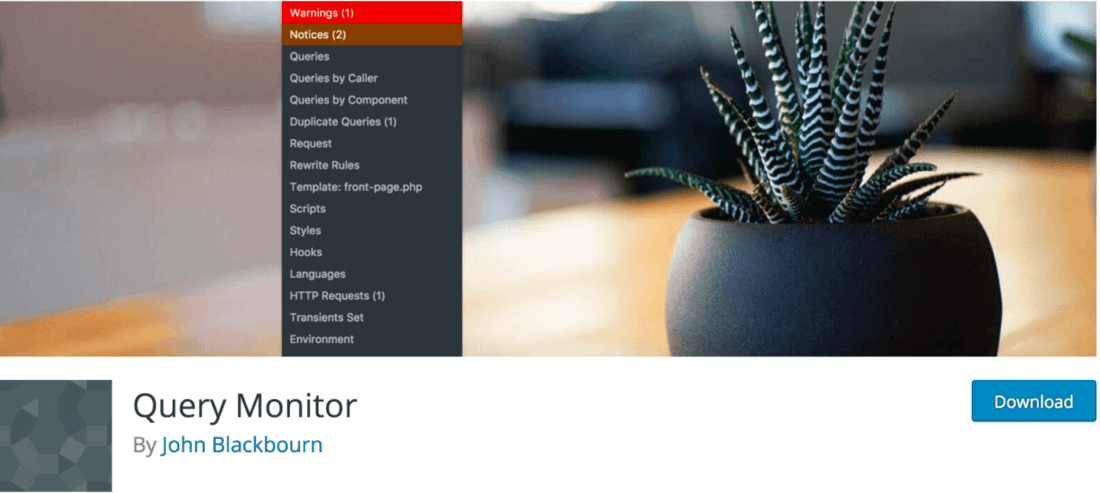 plugin-query-monitor