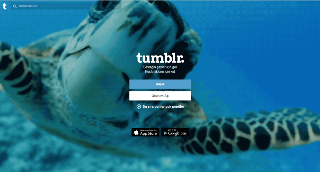 tumblr