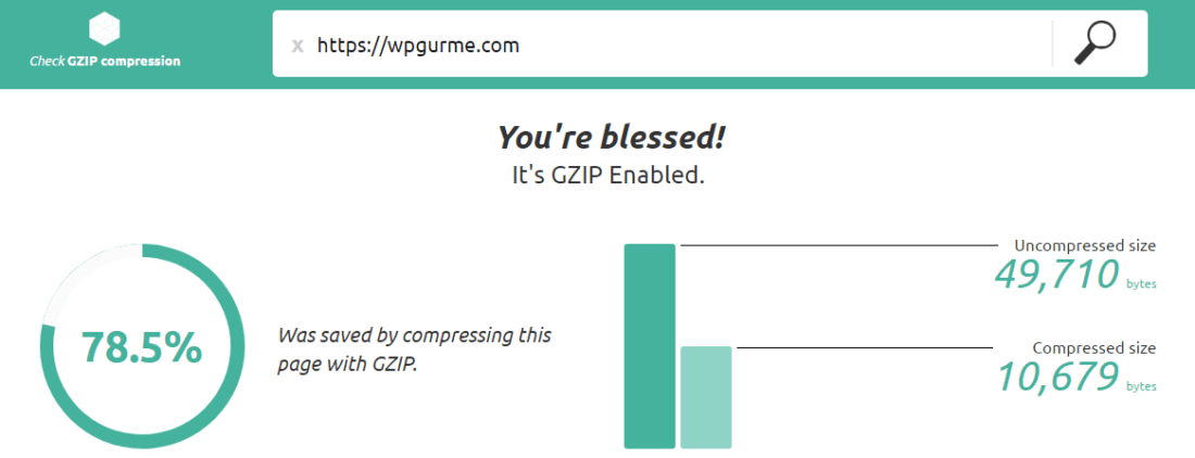 ücretsiz gzip testi