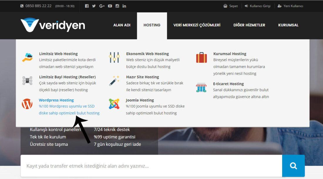 veridyen wordpress hosting