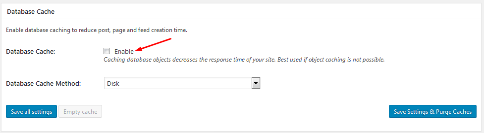 w3 total cache database cache