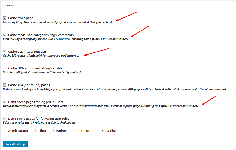 w3 total cache page cache ayarları