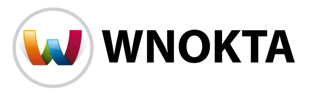 wnokta hosting yorumları