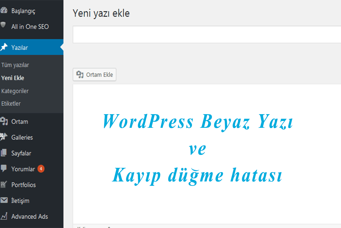 wordpress beyaz yazı kayıp düğme hatası