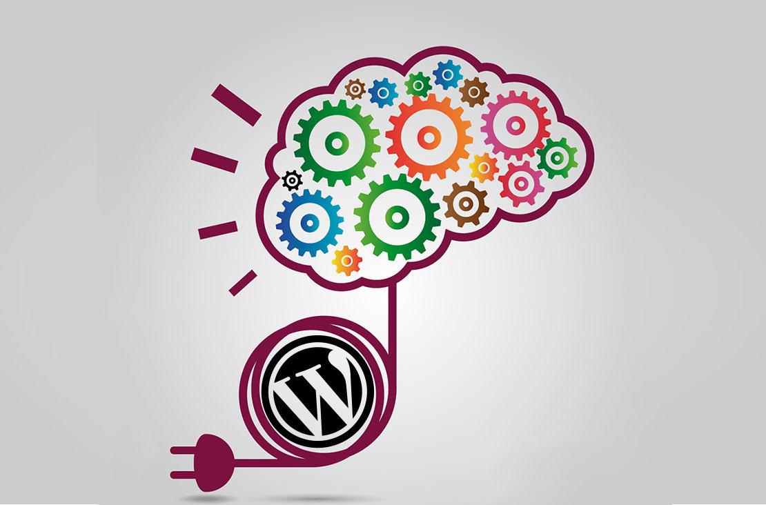 wordpress eklenti kurulumu