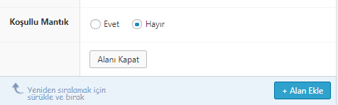 wordpress fazladan özel alan