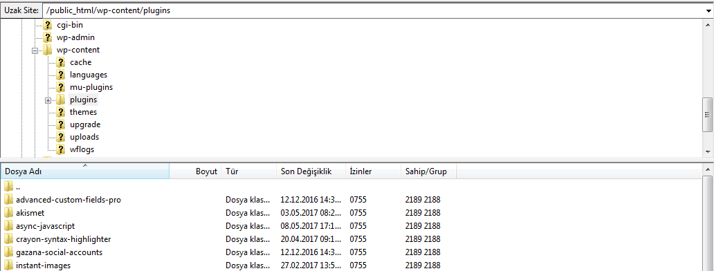 wordpress ftp dosya listesi