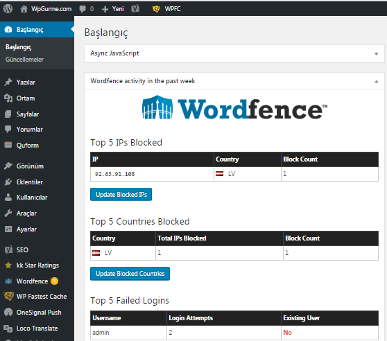 wordpress genel görünüm
