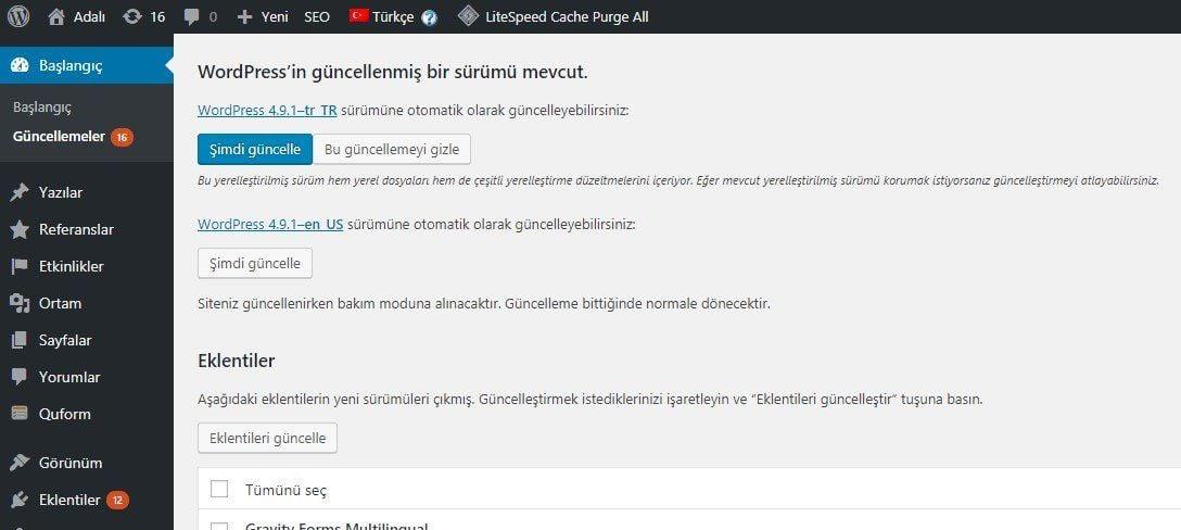 WordPress update