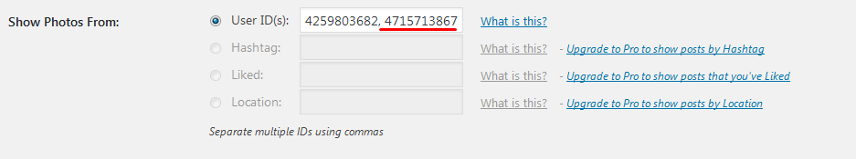 wordpress instagram çoklu fotoğraf gösterme