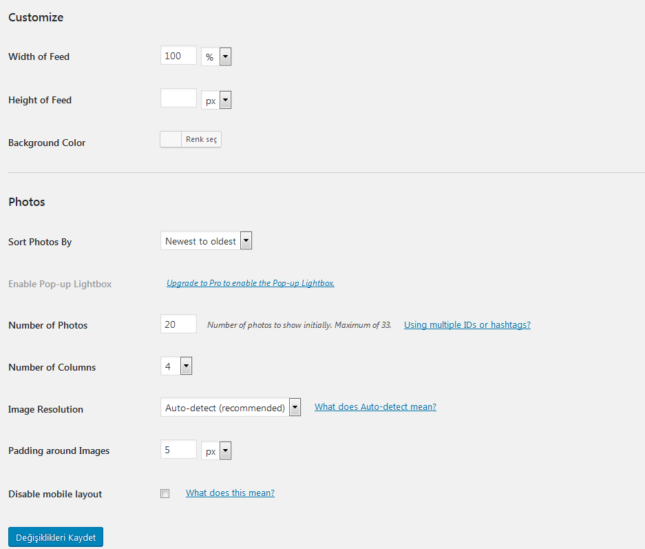 wordpress instagram feed seçenekleri