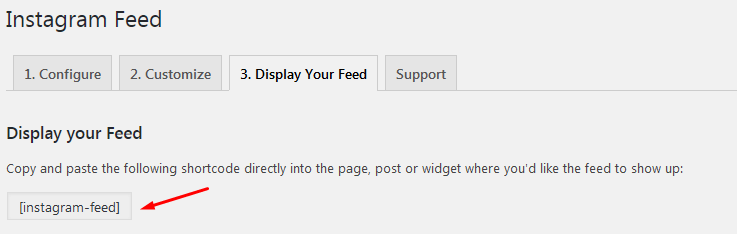 wordpress instagram feed kod kullanımı