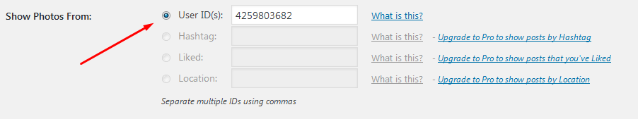 wordpress instagram resim hesabı gösterme