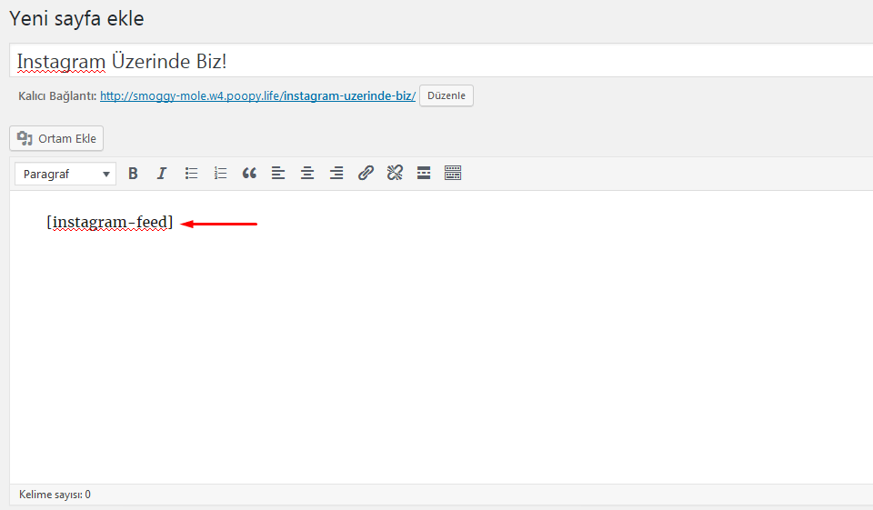 wordpress instagram kısa kod ekleme