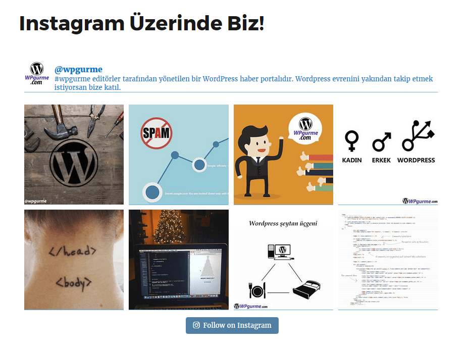 wordpress instagram örnek sayfa