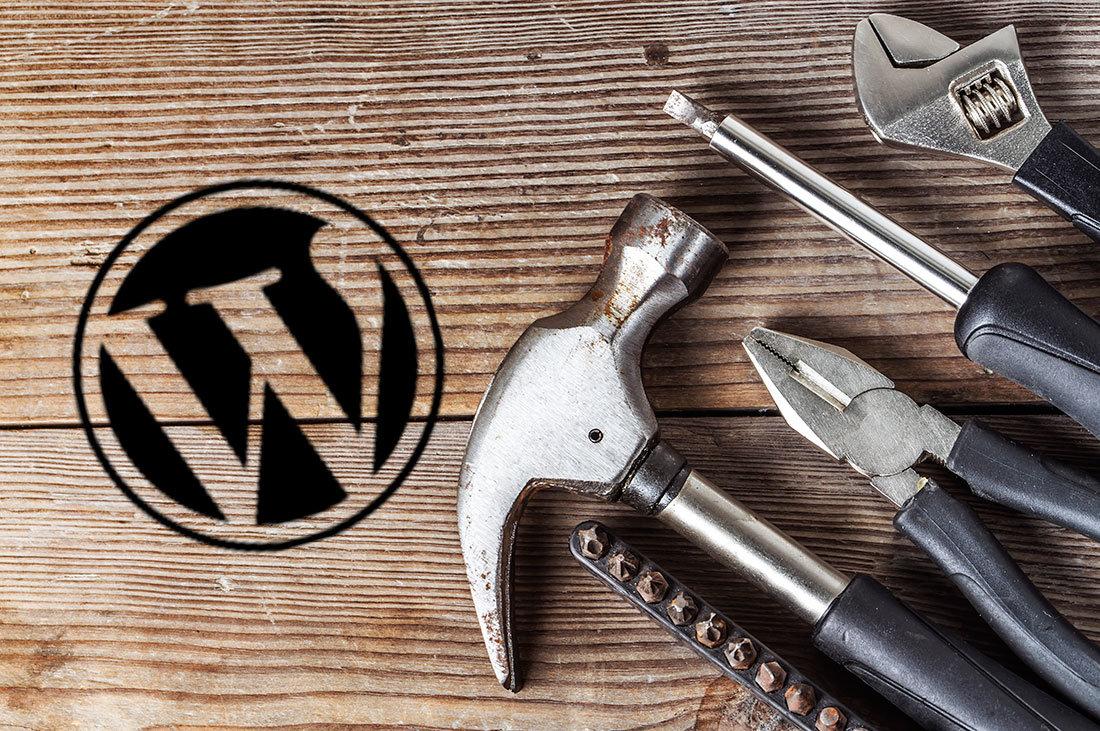 wordpress ipuçları