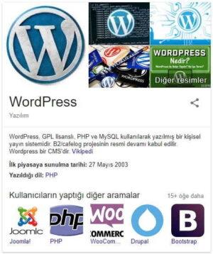 WordPress nedir arama sonucu