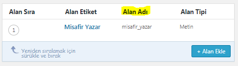 wordpress özel alan adı