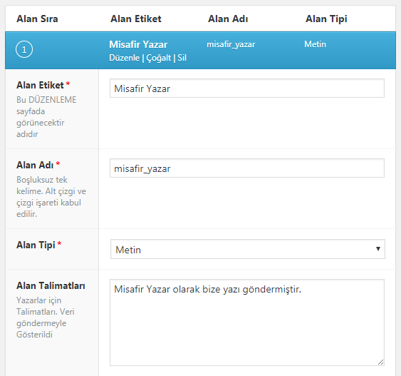 wordpress özel alan bilgileri