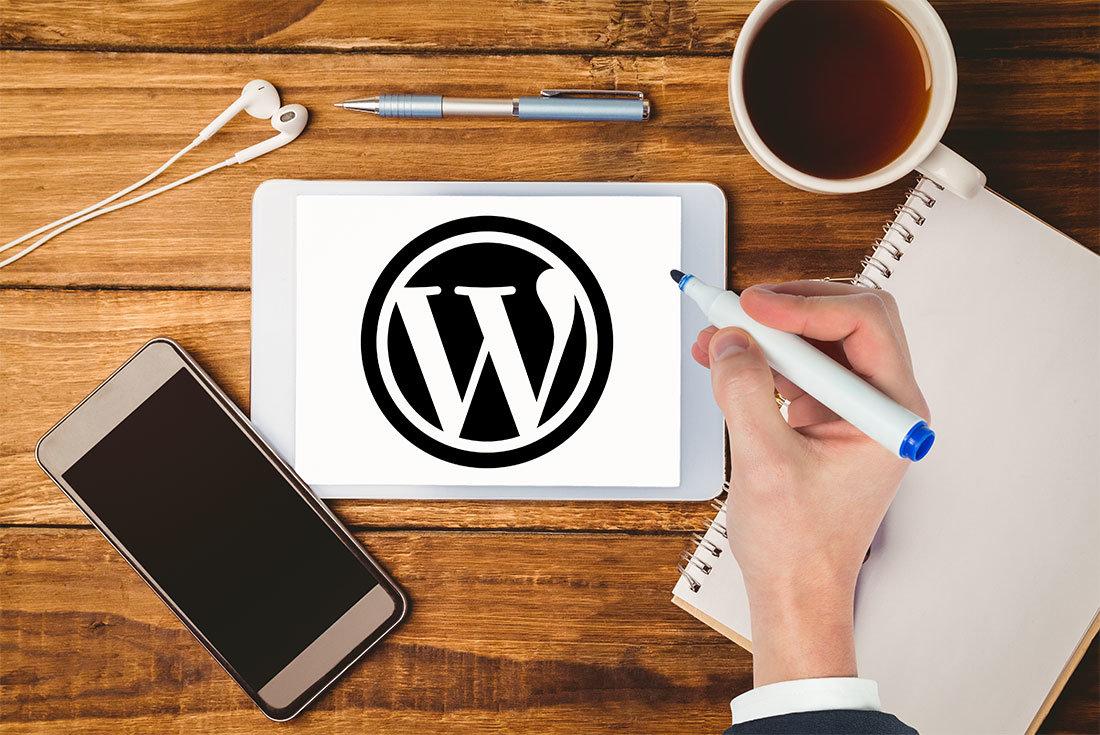 wordpress özel alan ekleme