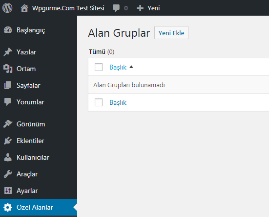 wordpress özel alan ekleme