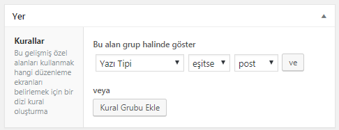 wordpress özel alan yerleşimi