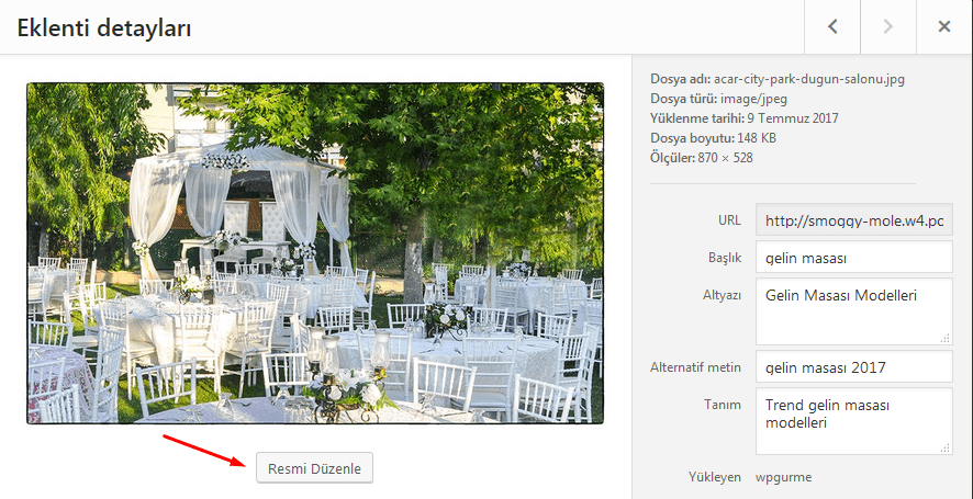 wordpress resim düzenleme ekranı