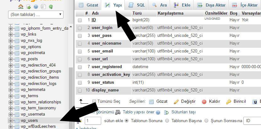 wordpress veri tabaninda wp_user tablosu