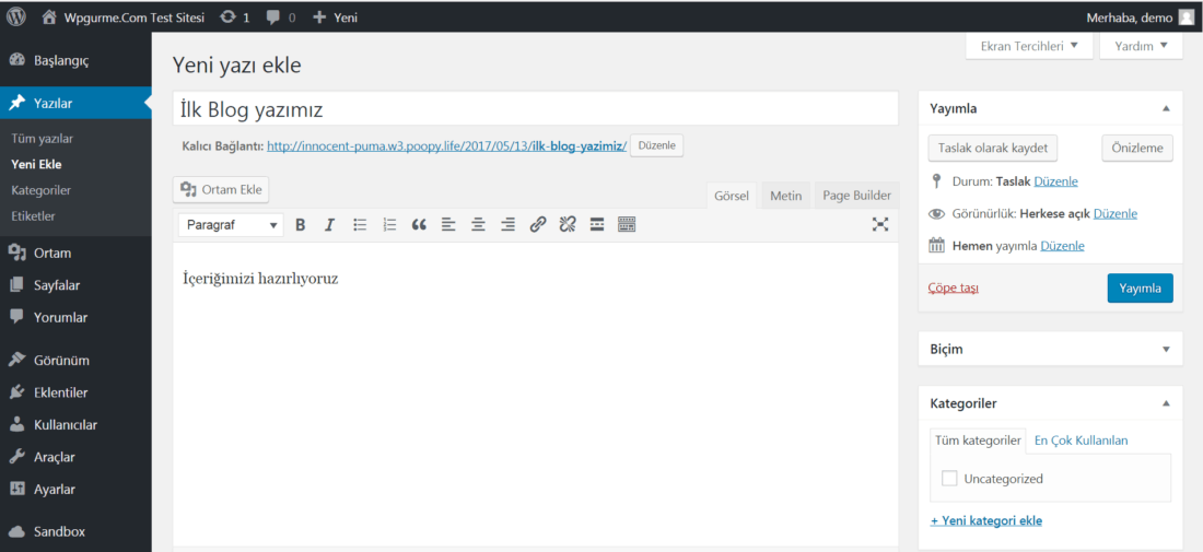 wordpress yazi ekleme