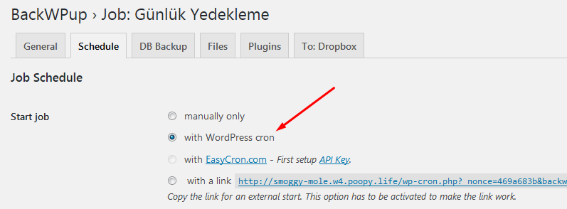 wordpress yedekleme cron oluşturma